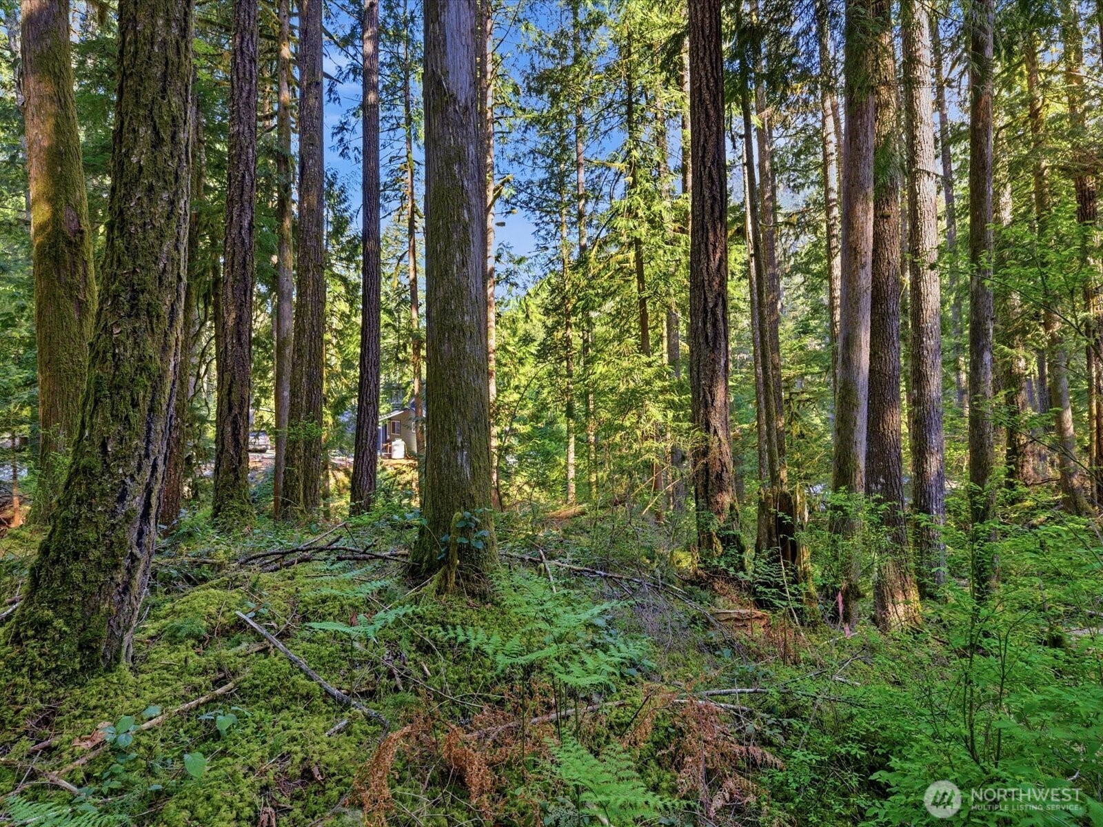 63424 W Cascade Way , Marblemount, WA 98267
