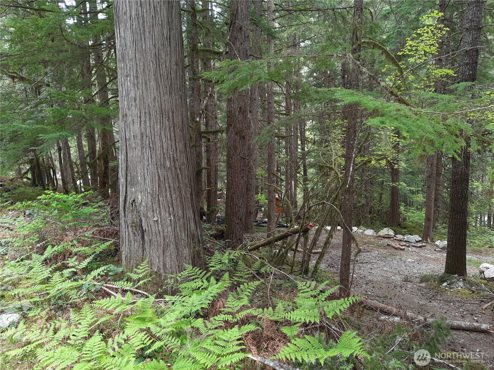 0 Cascade River Road , Marblemount, WA 98263