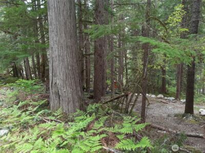 0 Cascade River Road , Marblemount, WA 98263 - Photo 1