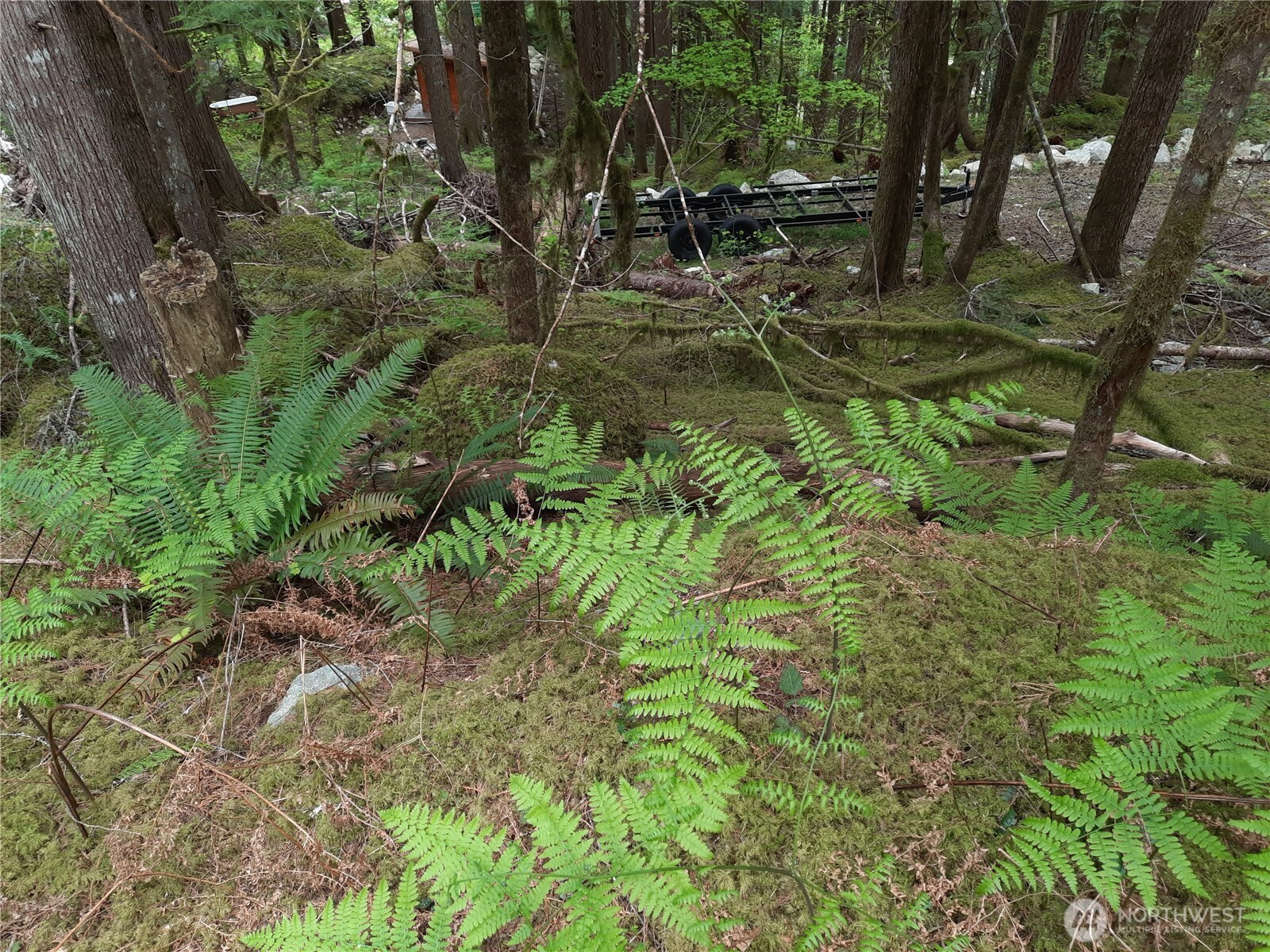 0 Cascade River Road , Marblemount, WA 98263