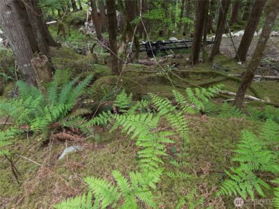 0 Cascade River Road , Marblemount, WA 98263 - Photo 3