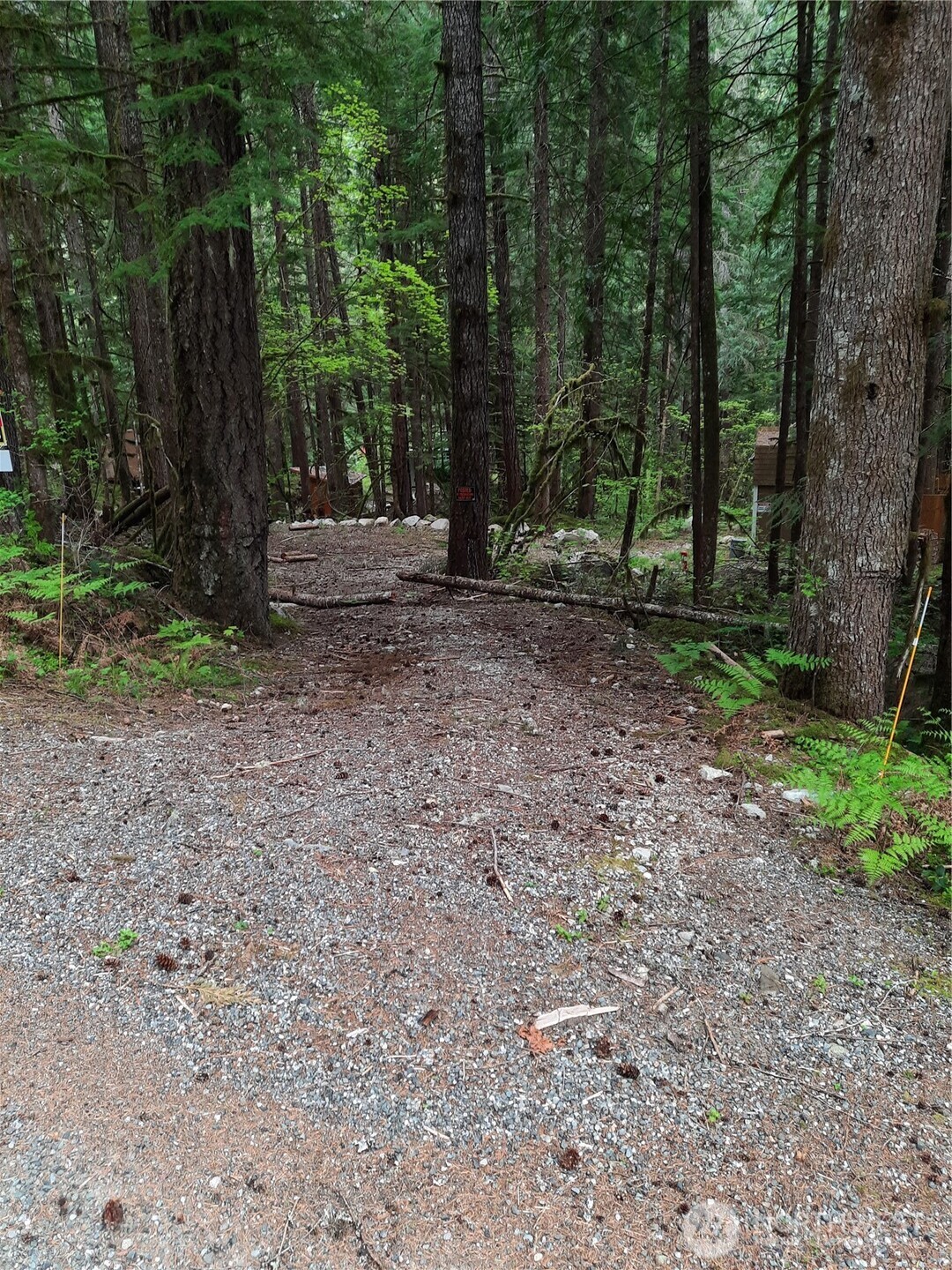 0 Cascade River Road , Marblemount, WA 98263