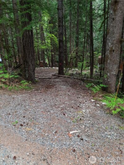 0 Cascade River Road , Marblemount, WA 98263 - Photo 4