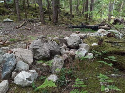 0 Cascade River Road , Marblemount, WA 98263 - Photo 6
