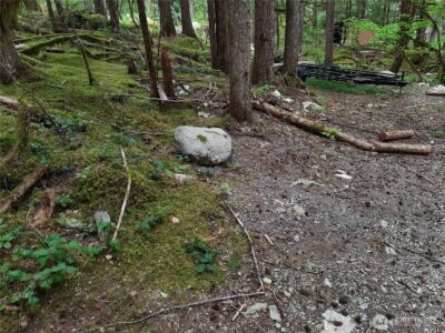 0 Cascade River Road , Marblemount, WA 98263 - Photo 8