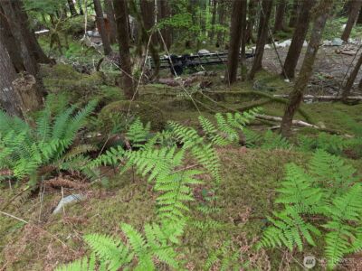 0 Cascade River Road , Marblemount, WA 98263 - Photo 9
