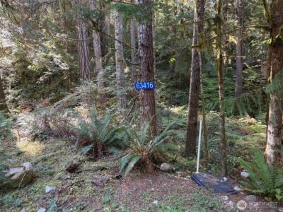 63416 E Ross Place , Marblemount, WA 98267
