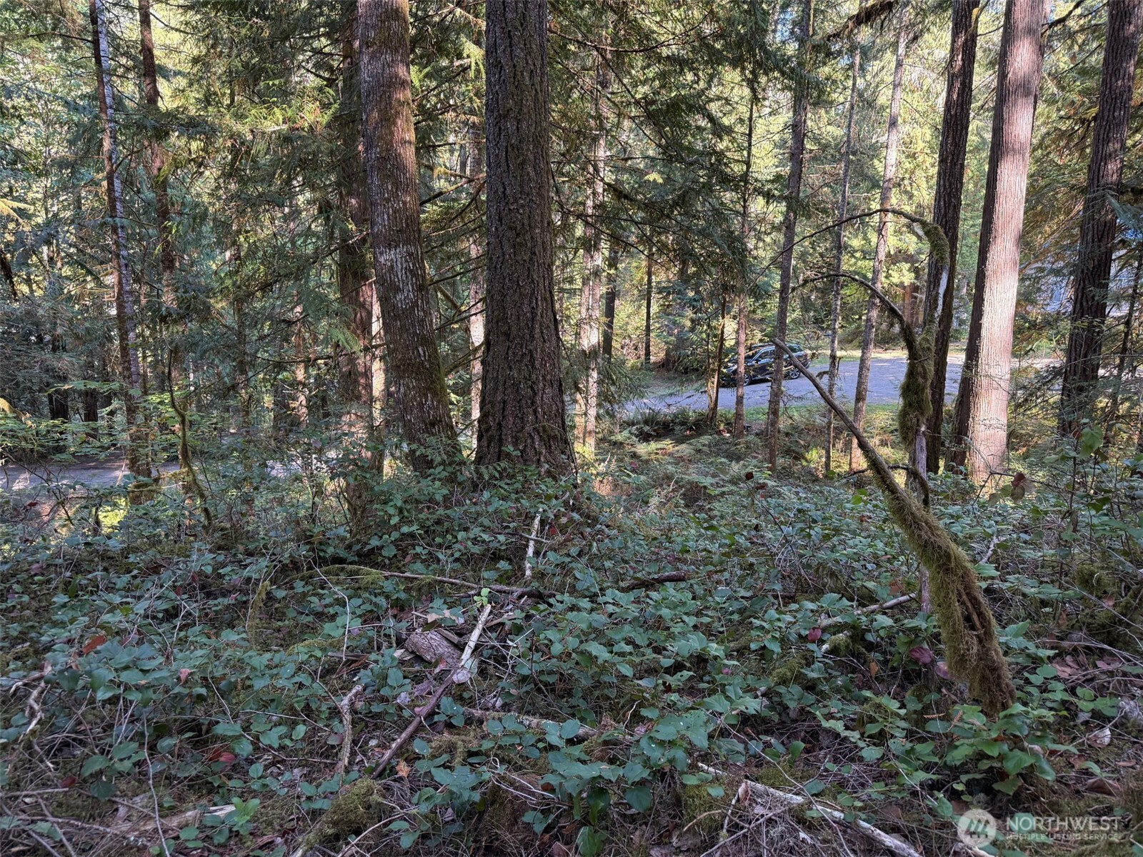 63416 E Ross Place , Marblemount, WA 98267