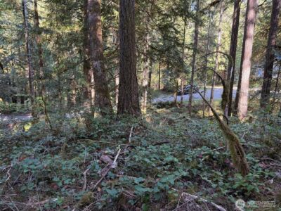 63416 E Ross Place , Marblemount, WA 98267 - Photo 11