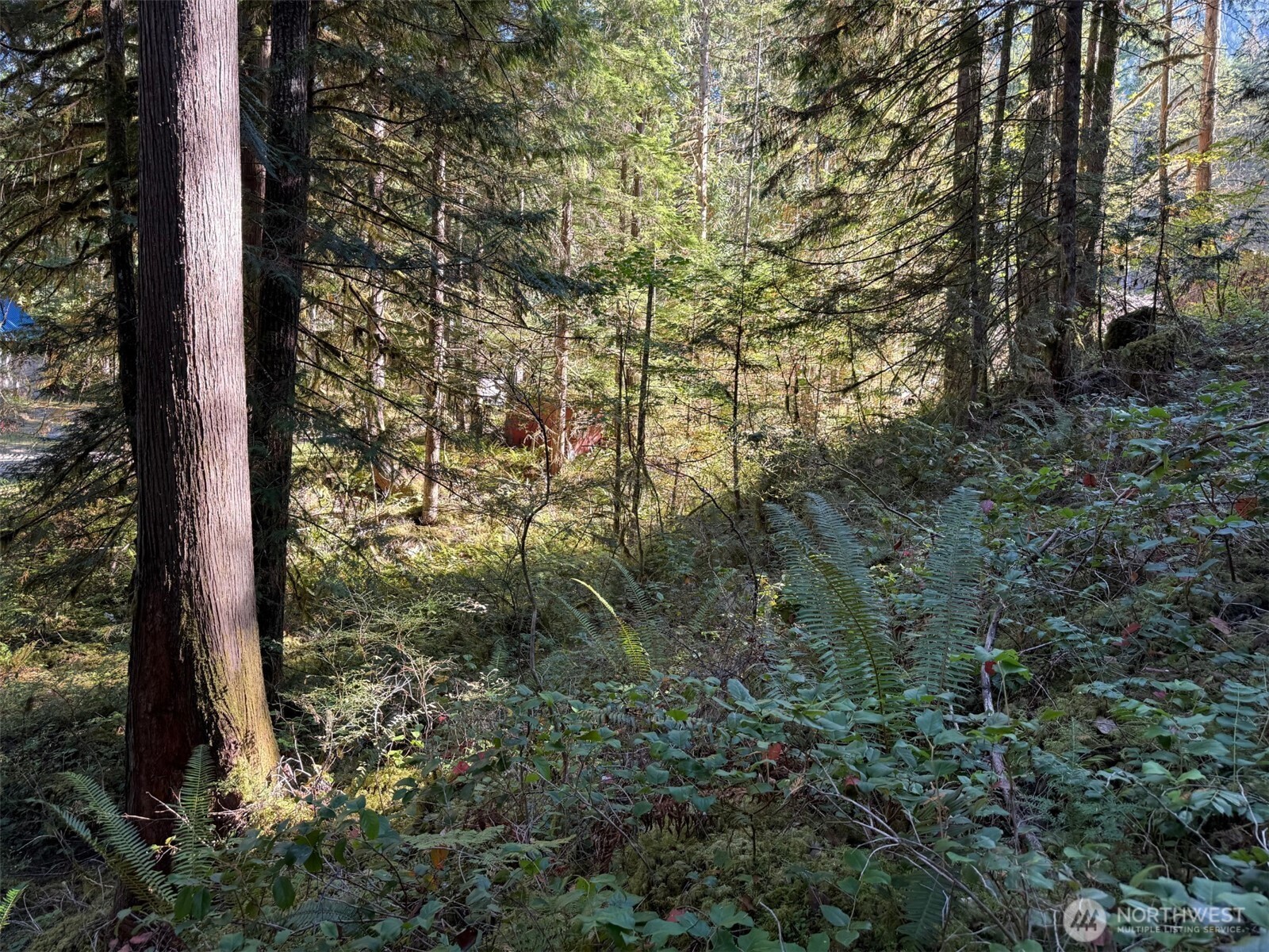 63416 E Ross Place , Marblemount, WA 98267