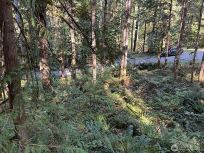 63416 E Ross Place , Marblemount, WA 98267 - Photo 15