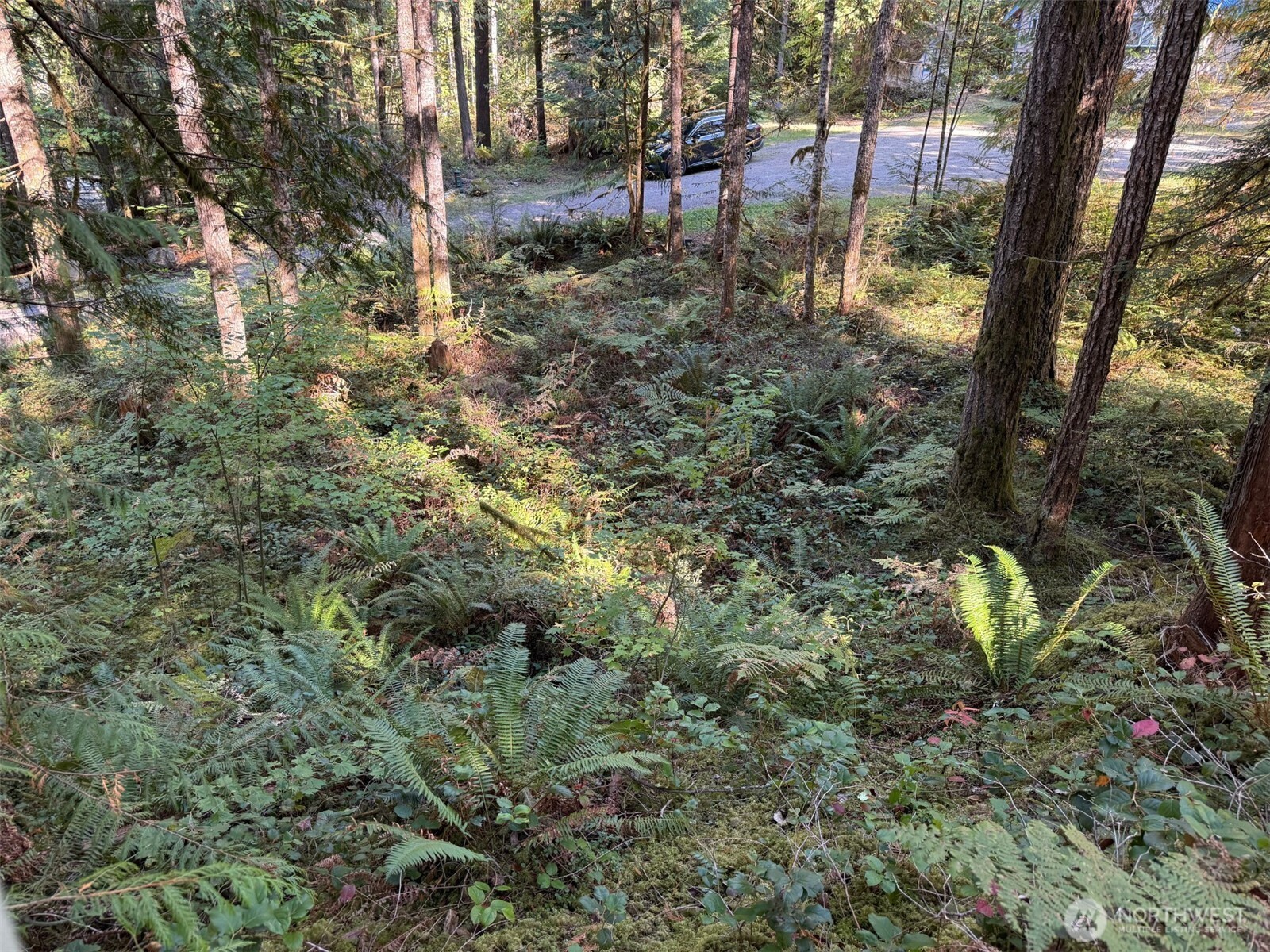 63416 E Ross Place , Marblemount, WA 98267