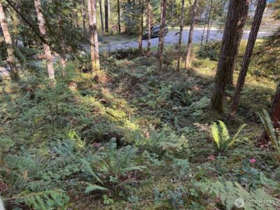 63416 E Ross Place , Marblemount, WA 98267 - Photo 16