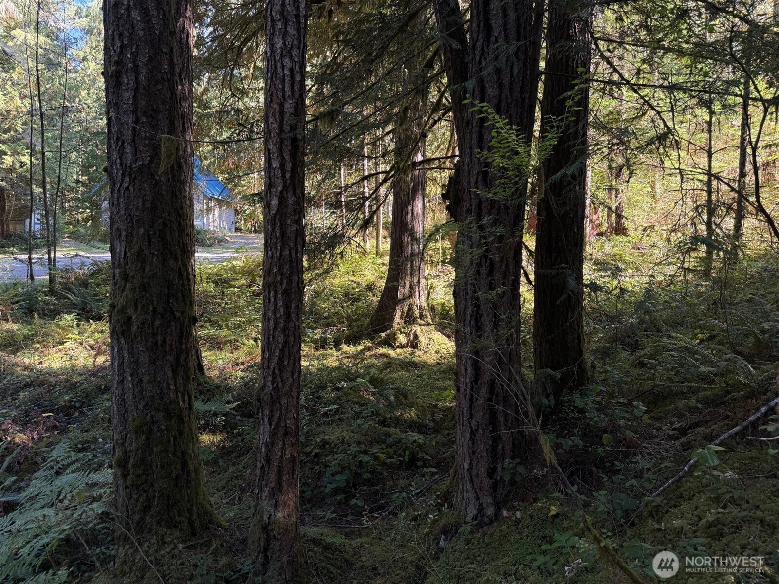 63416 E Ross Place , Marblemount, WA 98267