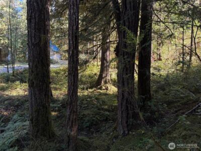 63416 E Ross Place , Marblemount, WA 98267 - Photo 17