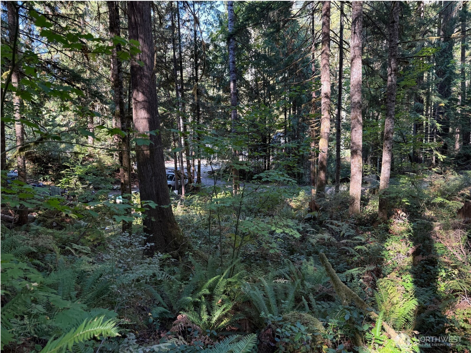 63416 E Ross Place , Marblemount, WA 98267