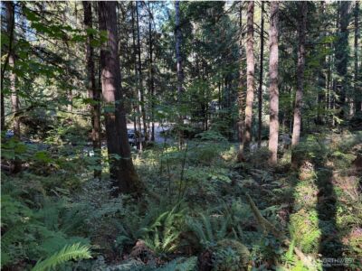 63416 E Ross Place , Marblemount, WA 98267 - Photo 18