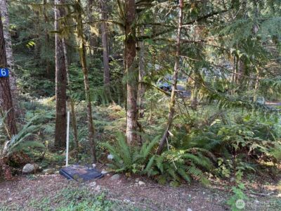 63416 E Ross Place , Marblemount, WA 98267 - Photo 2