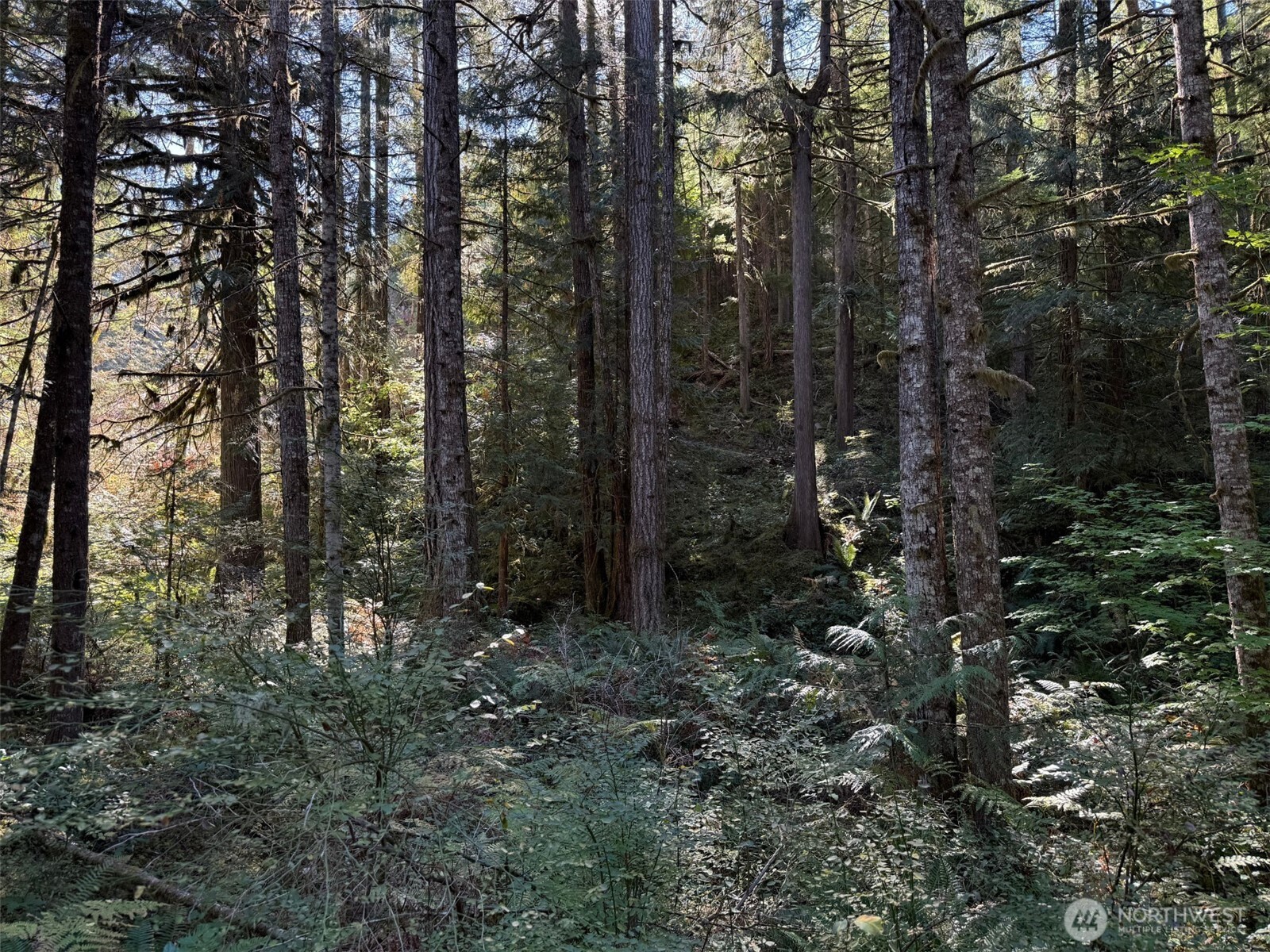 63416 E Ross Place , Marblemount, WA 98267