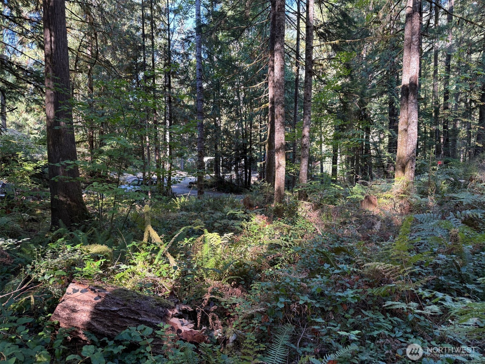 63416 E Ross Place , Marblemount, WA 98267