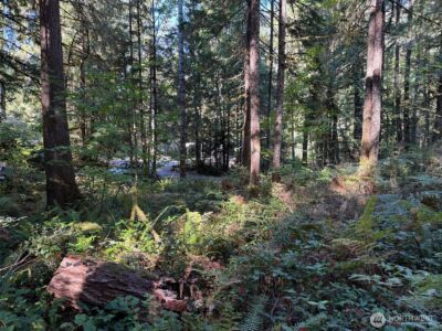 63416 E Ross Place , Marblemount, WA 98267 - Photo 7