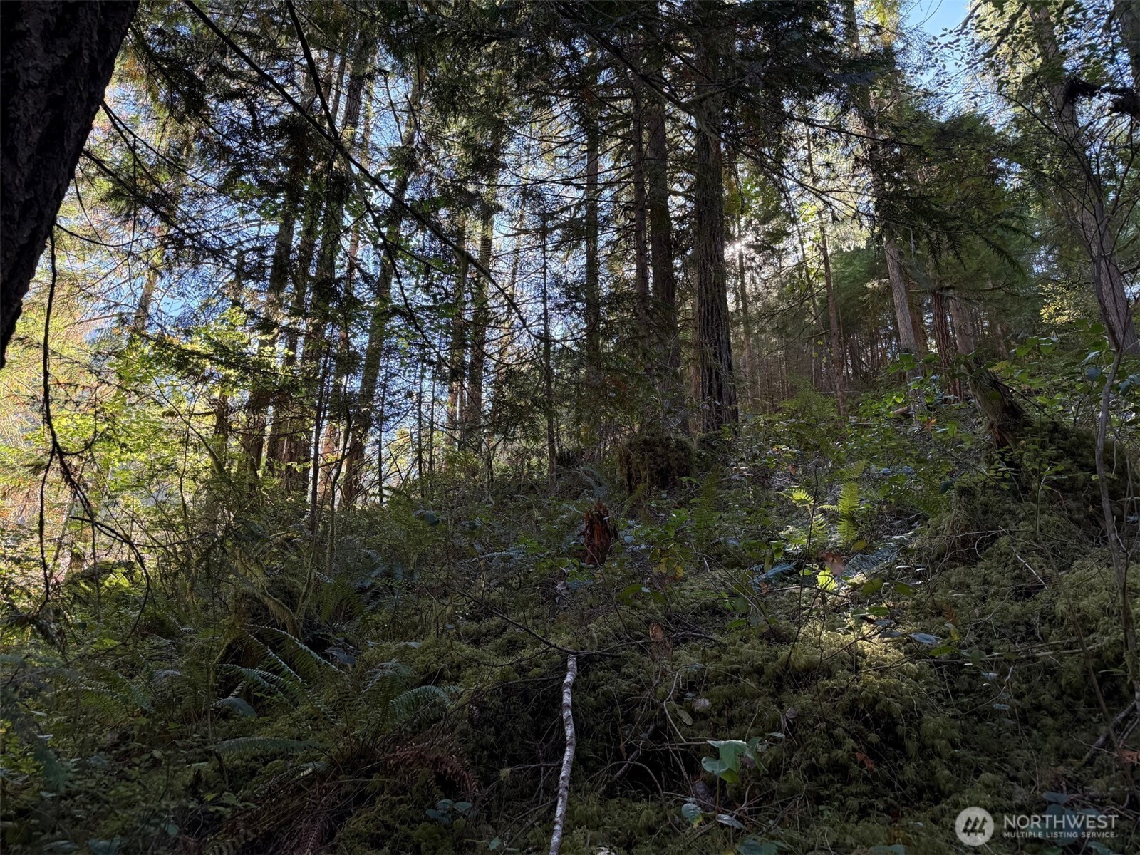 63416 E Ross Place , Marblemount, WA 98267