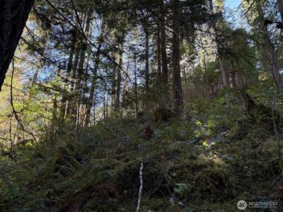 63416 E Ross Place , Marblemount, WA 98267 - Photo 9