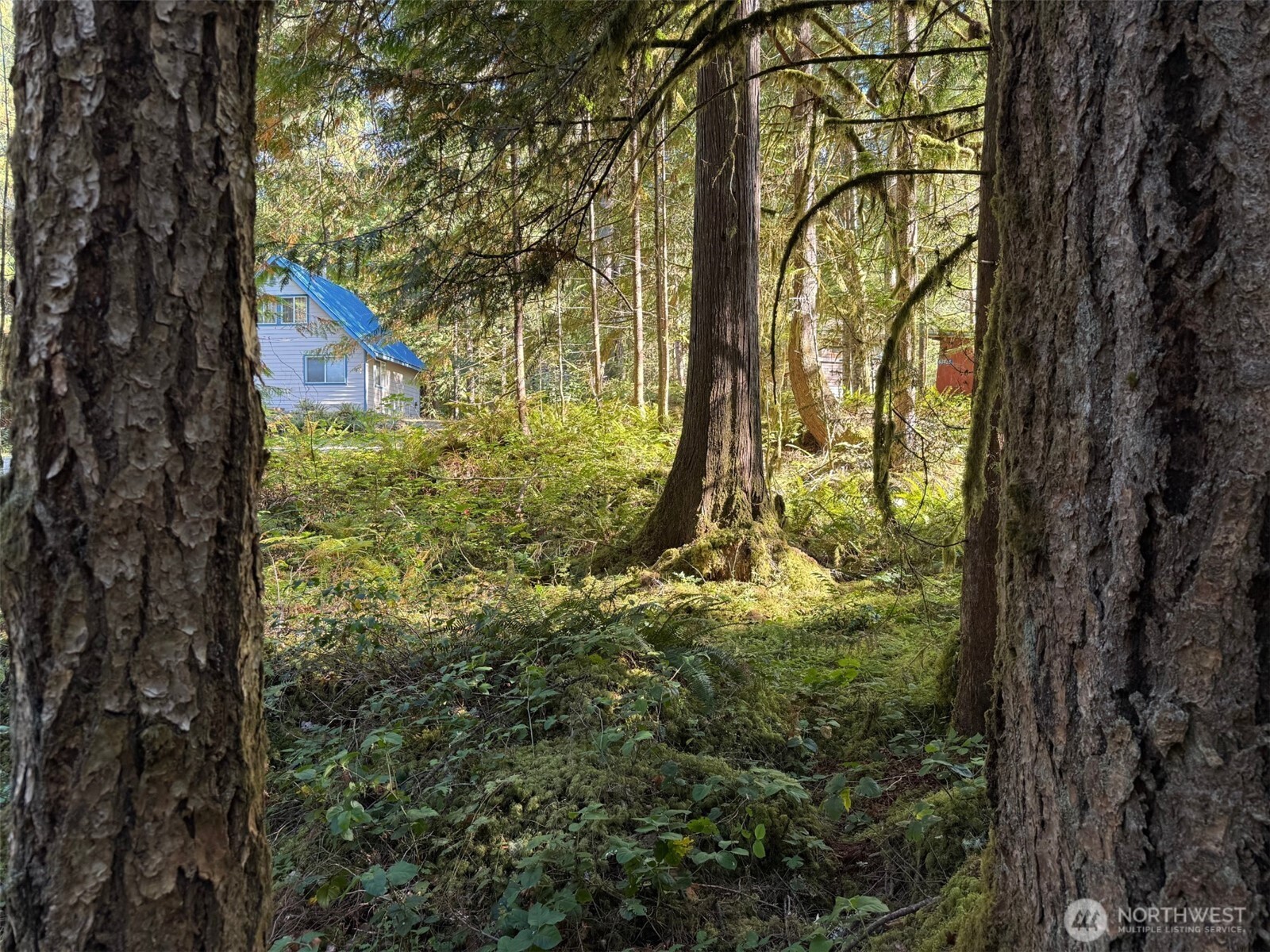 63416 E Ross Place , Marblemount, WA 98267