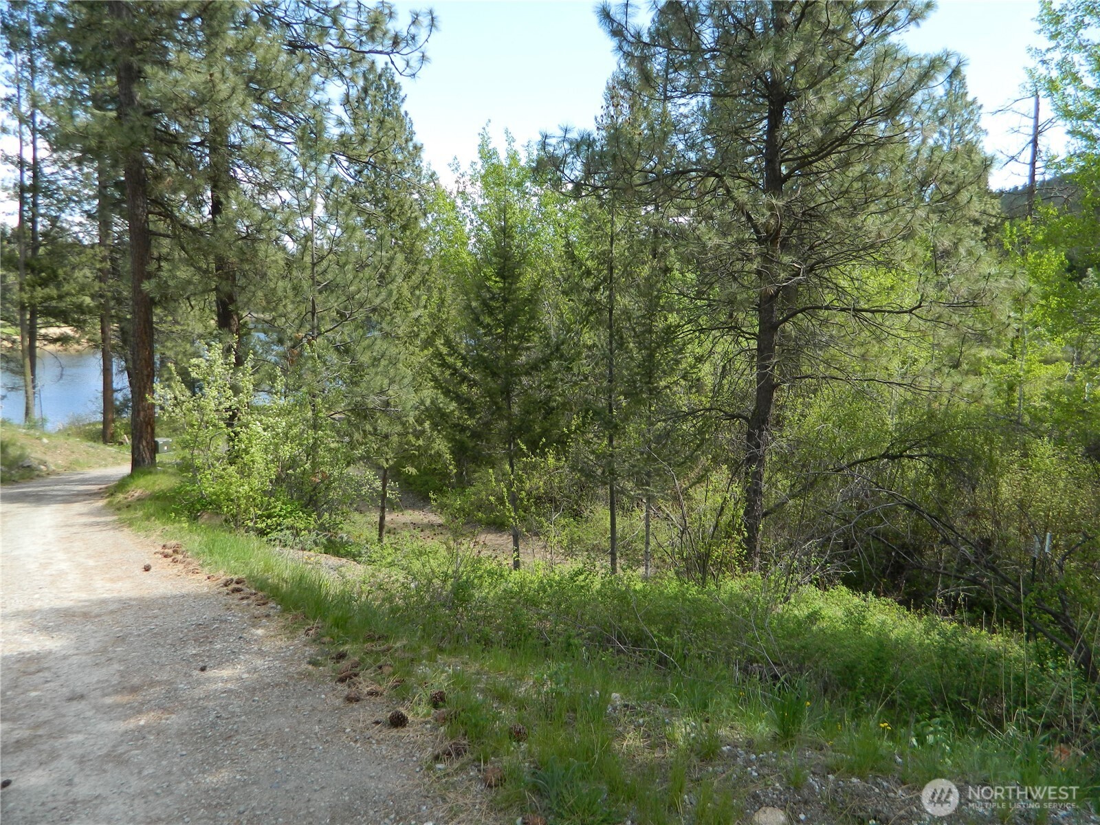 46 Little Bear Lane , Tonasket, WA 98855