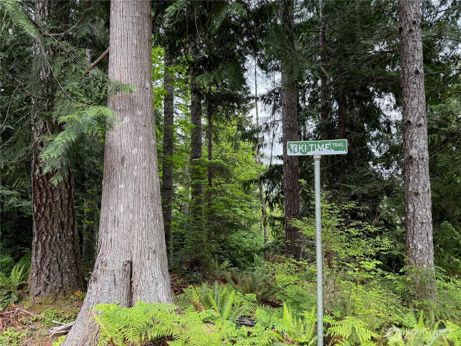 650 W Cushman Ridge Drive , Hoodsport, WA 98548