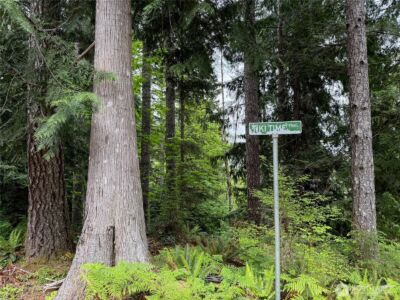 650 W Cushman Ridge Drive , Hoodsport, WA 98548 - Photo 11