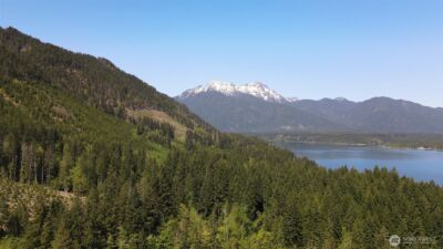 650 W Cushman Ridge Drive , Hoodsport, WA 98548 - Photo 12