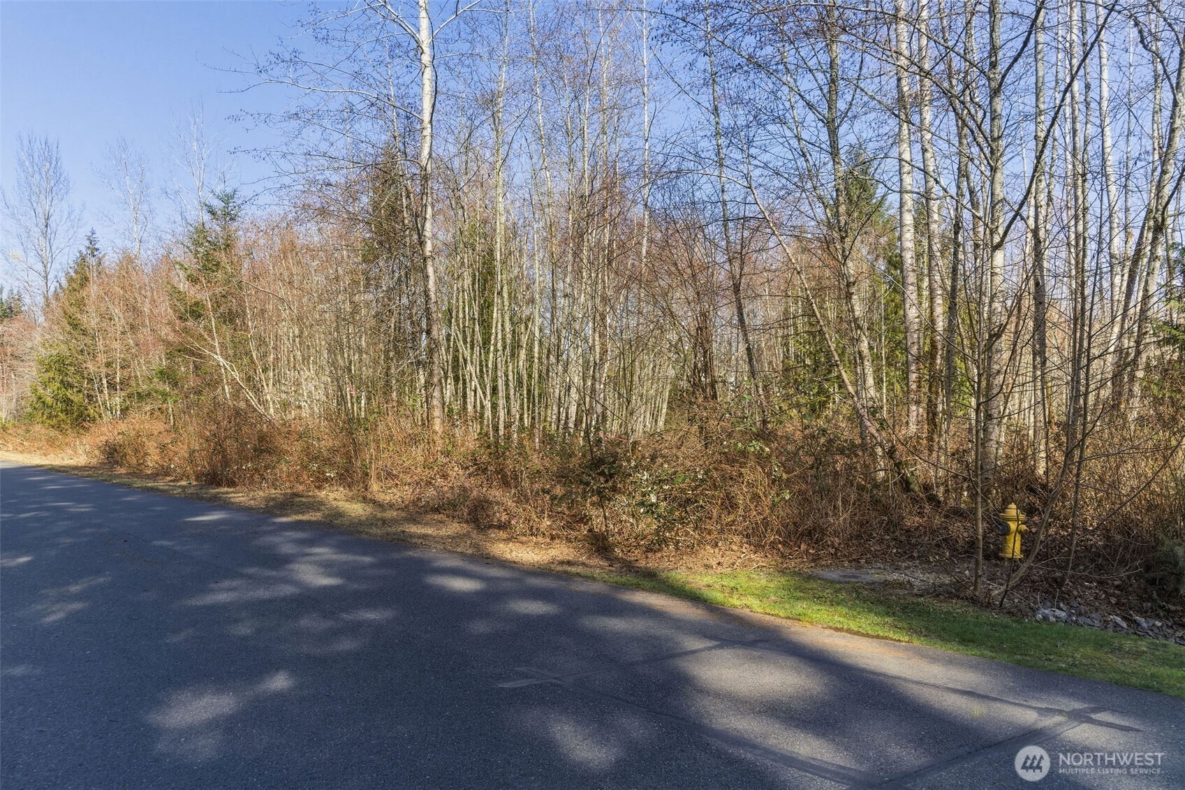 8700 255th Avenue NE, Redmond, WA 98053