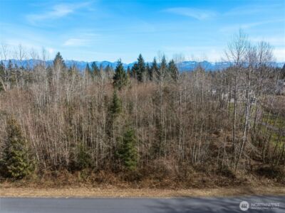 8700 255th Avenue NE, Redmond, WA 98053 - Photo 9