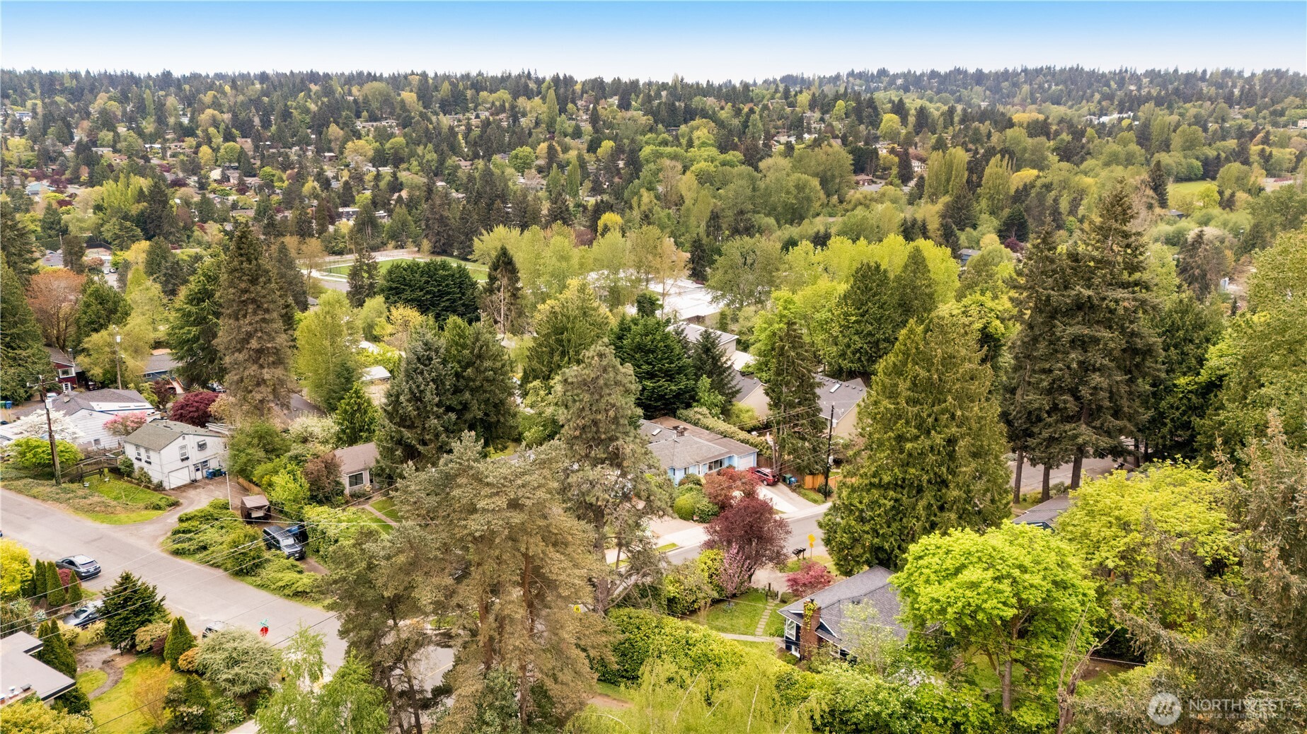 11007 Alton Avenue NE, Seattle, WA 98125
