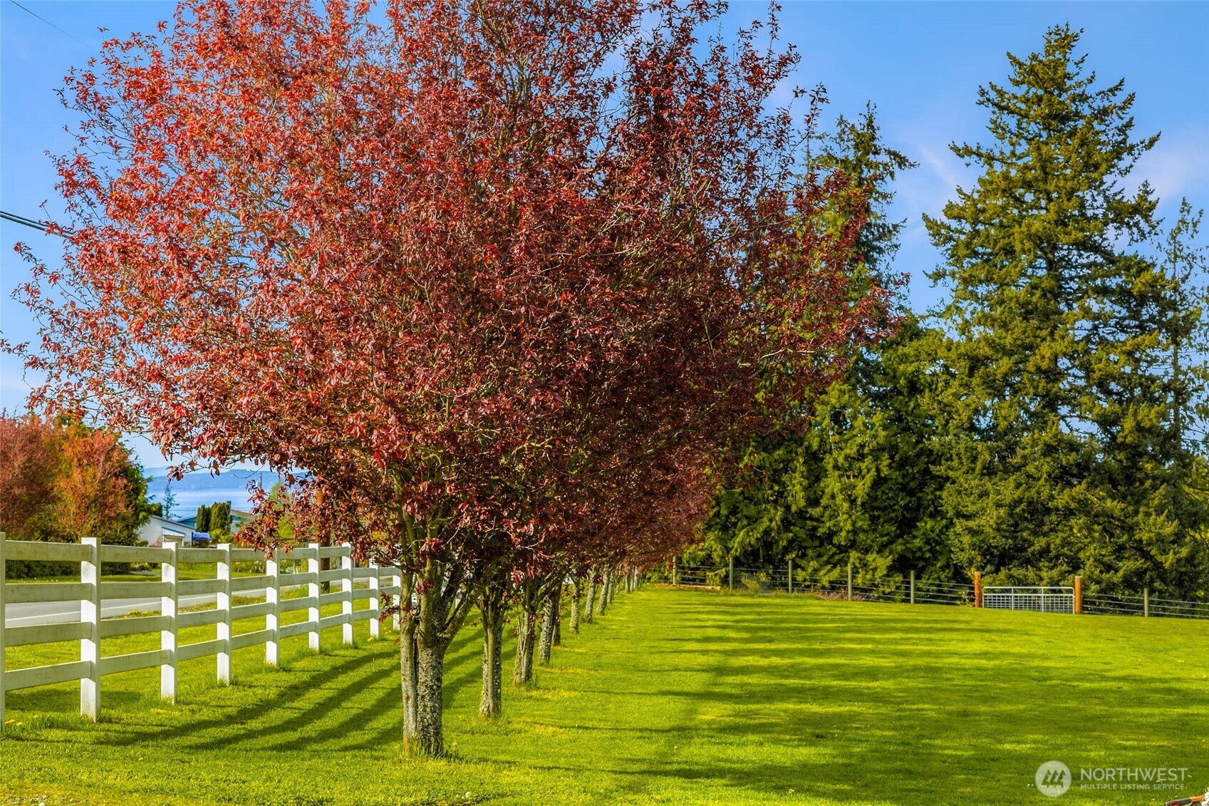 221 Baker View Lane , Camano Island, WA 98282