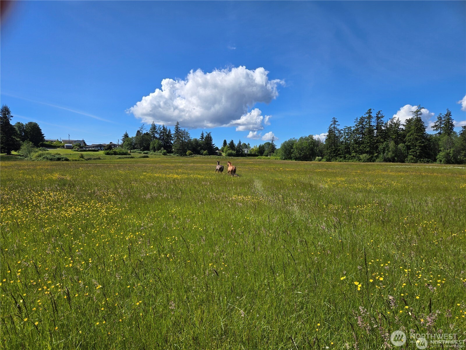 221 Baker View Lane , Camano Island, WA 98282