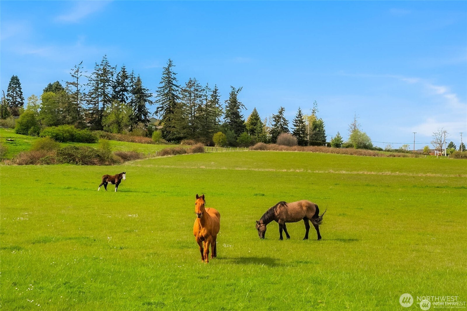 221 Baker View Lane , Camano Island, WA 98282