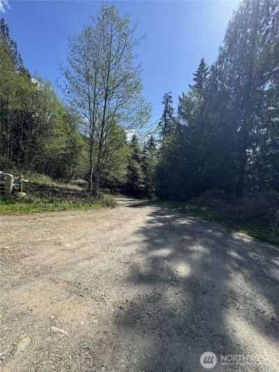 19911 State Route 165 E, Carbonado, WA 98323 - Photo 27