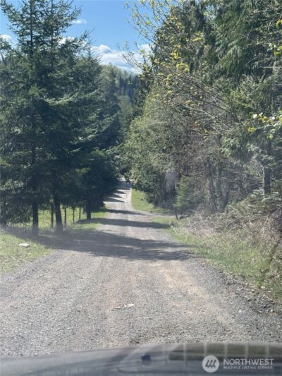19911 State Route 165 E, Carbonado, WA 98323 - Photo 28