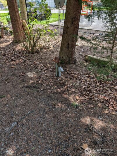 4611 268th Avenue NE, Redmond, WA 98053 - Photo 15