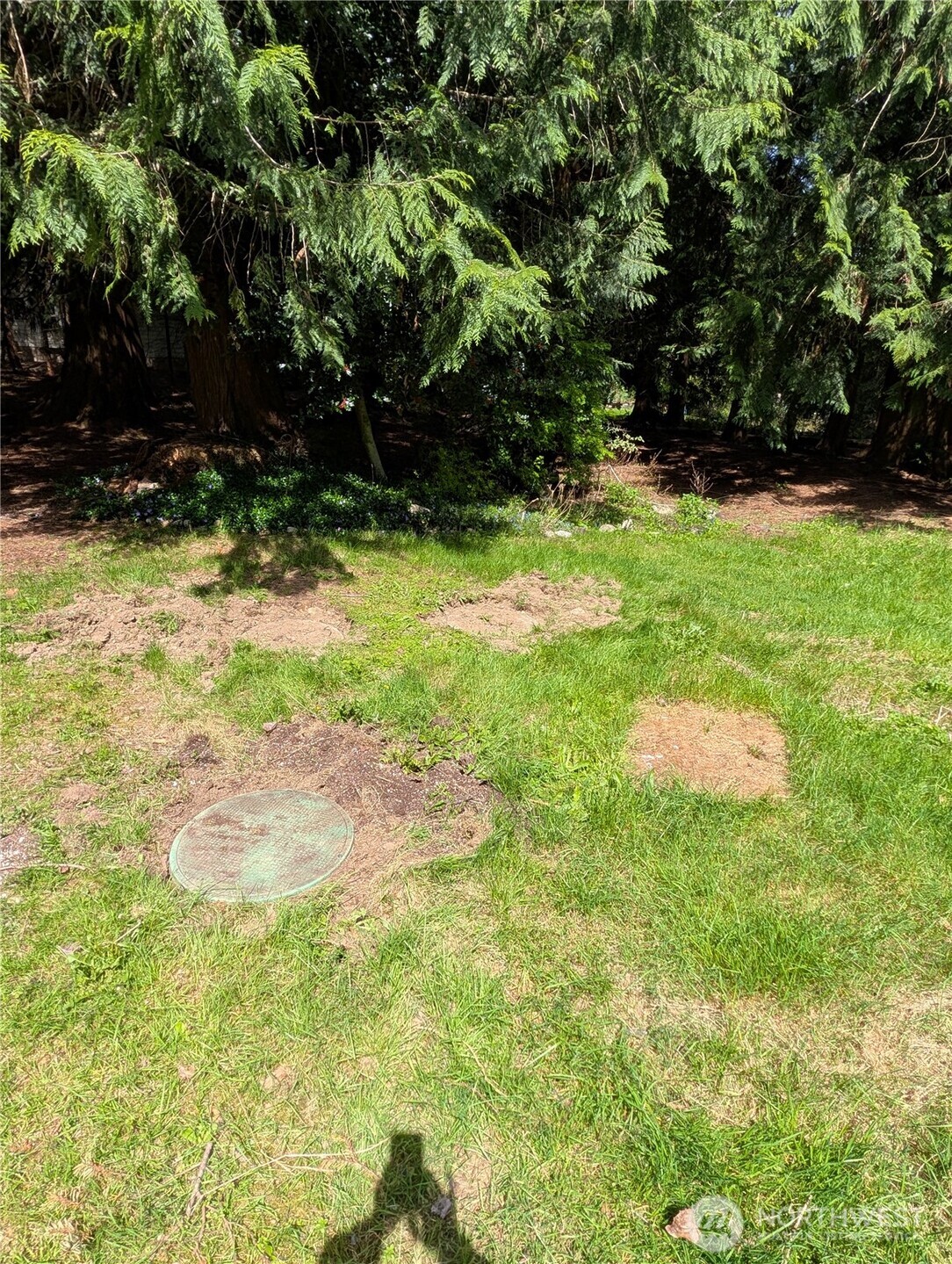 4611 268th Avenue NE, Redmond, WA 98053