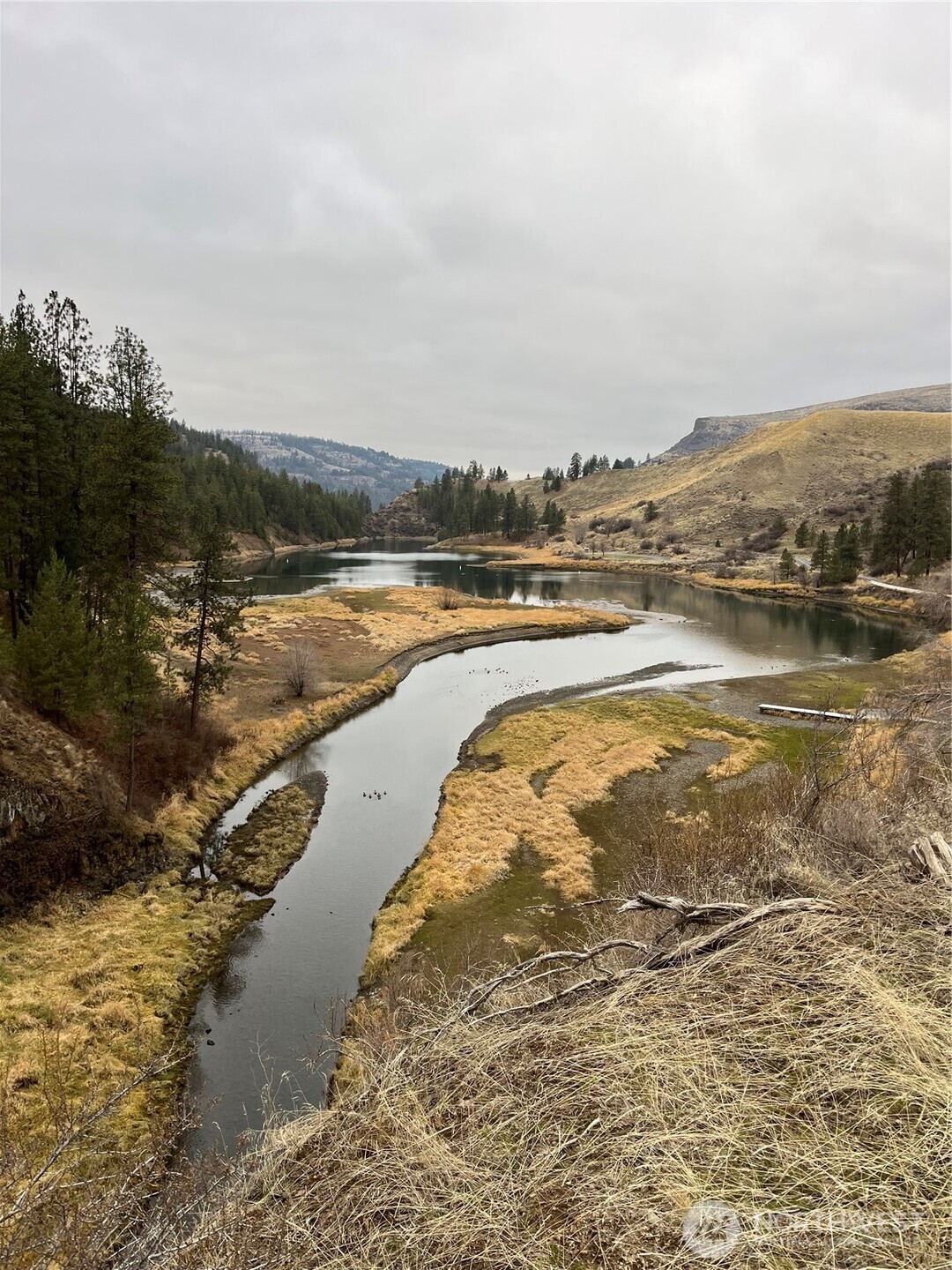 41951 Rio Vista Lane N #Lot 10, Deer Meadows, WA 99122