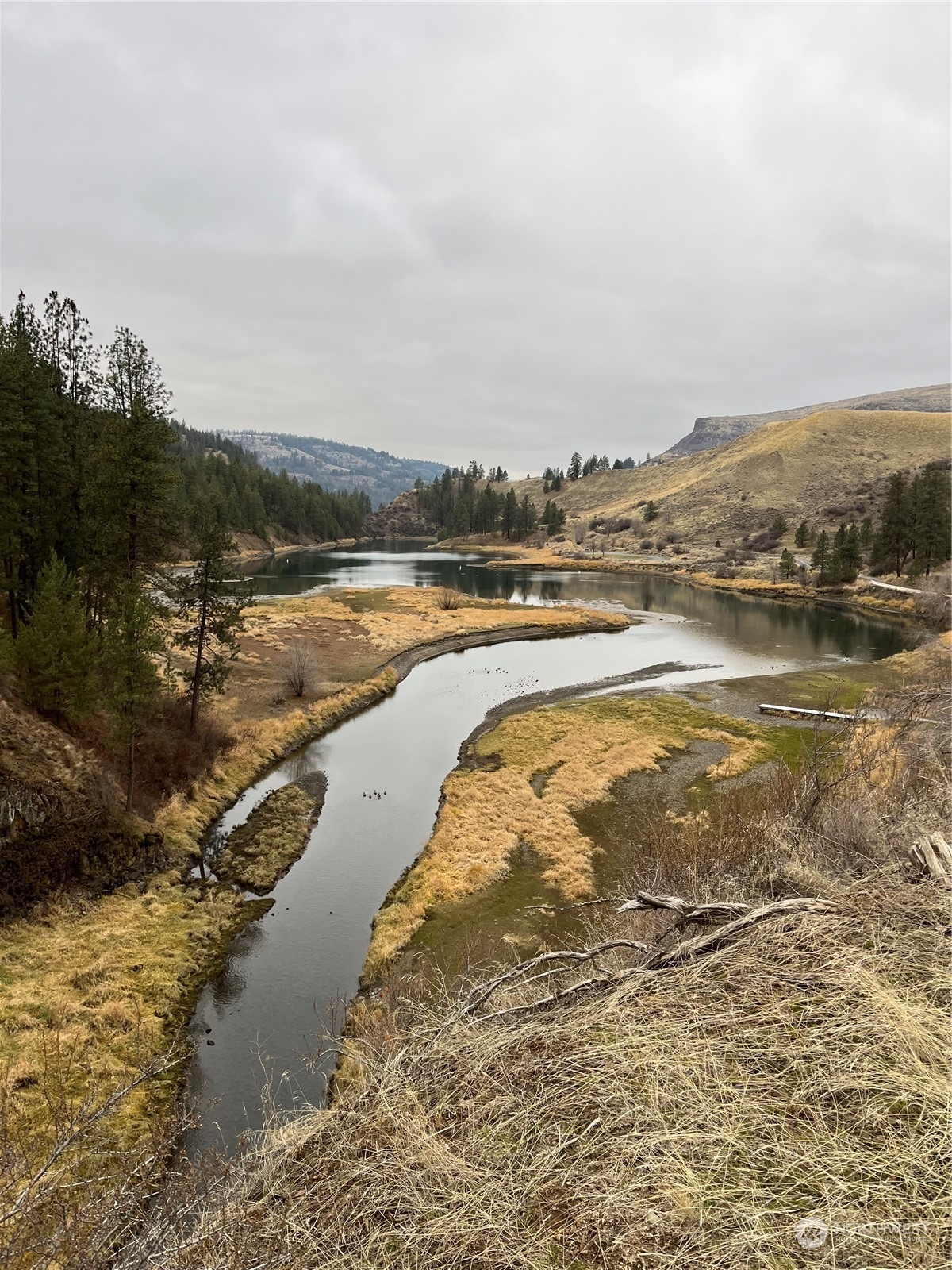 41831 Rio Vista Lane N #Lot 7, Deer Meadows, WA 99122