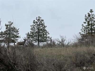 41831 Rio Vista Lane N #Lot 7, Deer Meadows, WA 99122 - Photo 15