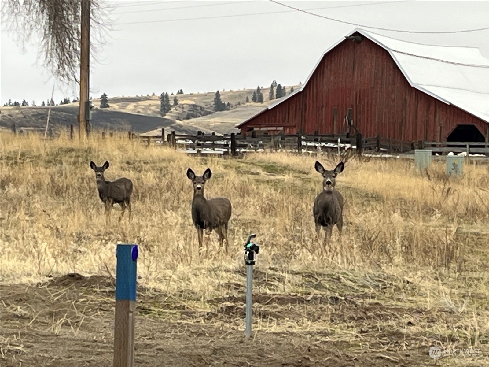 41831 Rio Vista Lane N #Lot 7, Deer Meadows, WA 99122