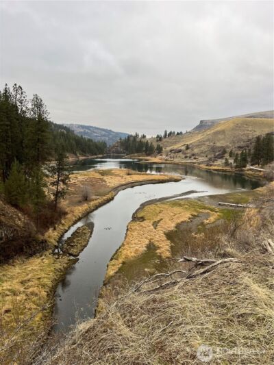 41901 Rio Vista Lane N #Lot 9, Deer Meadows, WA 99122 - Photo 11
