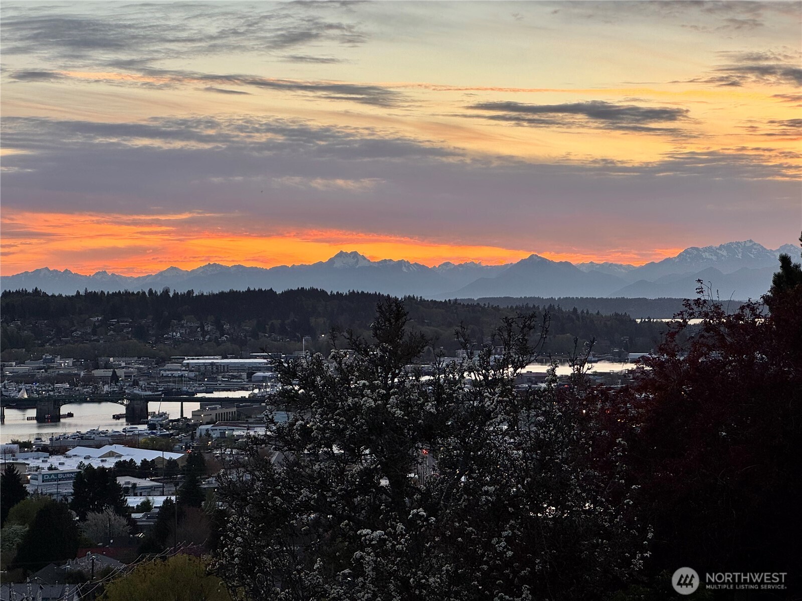 4511 Greenwood Avenue N #6, Seattle, WA 98103