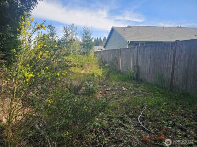 699 Myers Street SE, Rainier, WA 98576 - Photo 32