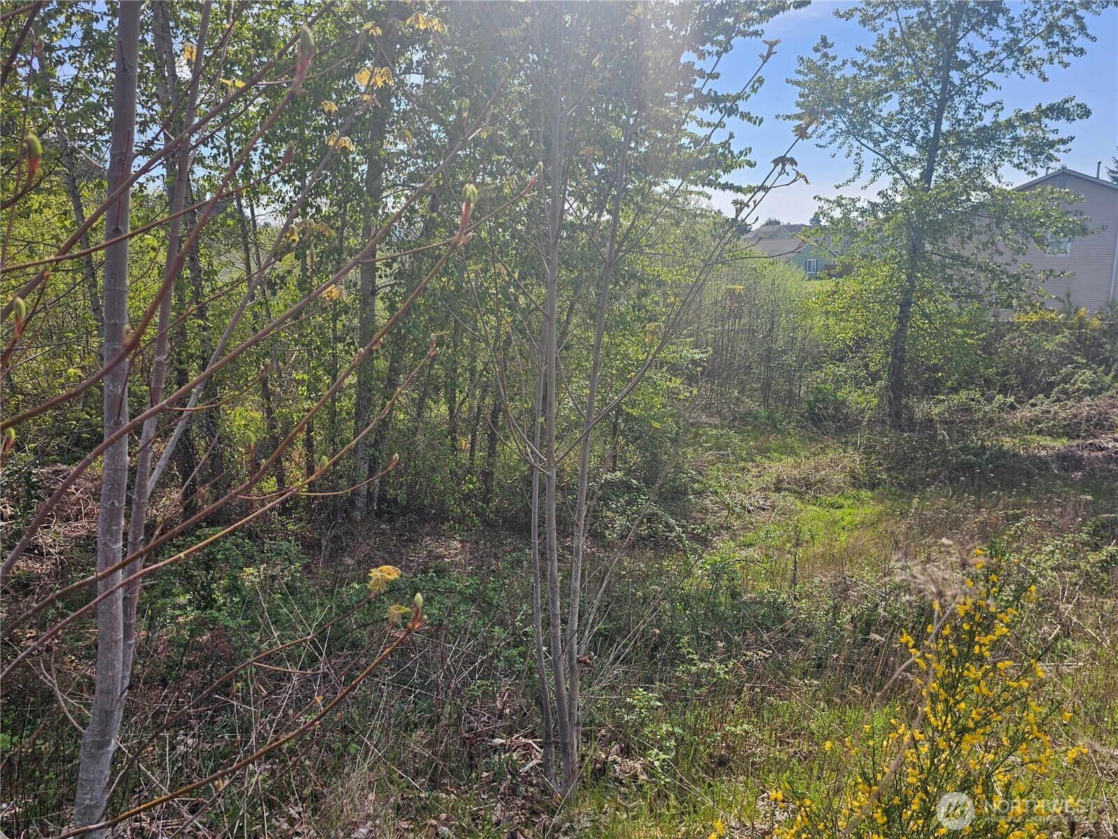 699 Myers Street SE, Rainier, WA 98576
